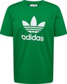ADIDAS ORIGINALS, T-Shirt 'Adicolor Trefoil' Grün, Bild 2 von 5