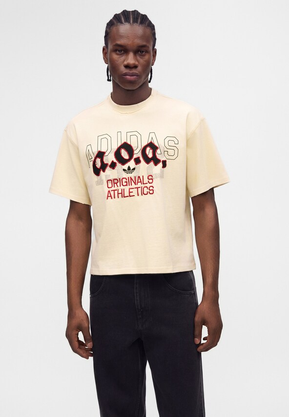 ADIDAS ORIGINALS, T-Shirt 'AOA' Beige, Bild 5 von 6