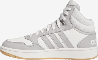 ADIDAS ORIGINALS, Sneaker 'Hoops 3.0' Grau