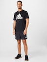 ADIDAS ORIGINALS, Shorts 'Adicolor Classics Sprinter', Schwarz, Bild 4 von 5