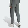 ADIDAS ORIGINALS, Hose 'Teamgeist 26' Grau, Bild 3 von 5