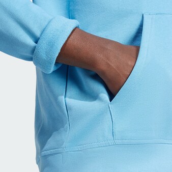 Sweatshirt 'Trefoil Essentials' in Blau, Grün & Beige