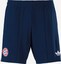 Selected, ADIDAS ORIGINALS, Workout Pants 'FC Bayern München 26-27', Blue
