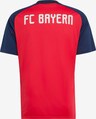ADIDAS ORIGINALS, Funktionsshirt 'FC Bayern München 26/27 Pre-Match' Rot, Bild 2 von 6
