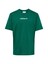 Ausgewählt, ADIDAS ORIGINALS, T-Shirt 'GFX' Grün