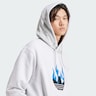 ADIDAS ORIGINALS, Sweatshirt ' Flames ' Grau, Bild 5 von 5