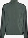 Ausgewählt, ADIDAS ORIGINALS, Jacke 'Teamgeist 26' Grün
