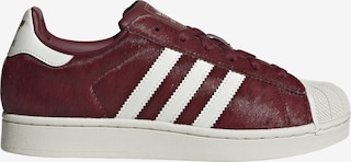 Sneaker 'Superstar II'