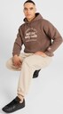 ADIDAS ORIGINALS, Sweatshirt 'GRF' Braun, Bild 4 von 5
