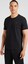 Ausgewählt, ADIDAS ORIGINALS, T-Shirt 'Trefoil Essentials' Schwarz