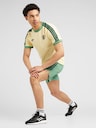 ADIDAS ORIGINALS, Shirt 'FC Bayern Adicolor Classics', Yellow, Image 4 of 4