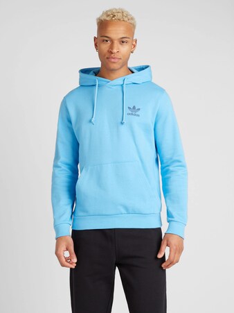 Sweatshirt in Blau