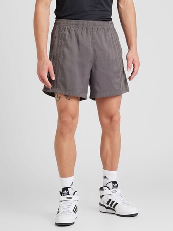 Shorts 'FASH SPRIN' in Grau