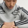 ADIDAS ORIGINALS, Sweatshirt 'Spacer Teamgeist 26' Grau, Bild 12 von 14