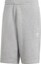 Selected, ADIDAS ORIGINALS, Pants 'Trefoil Essentials', Grey