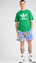 ADIDAS ORIGINALS, T-Shirt 'Adicolor Trefoil' Grün, Bild 3 von 5