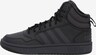 ADIDAS ORIGINALS, Sneaker 'Hoops 3.0' Schwarz, Bild 1 von 5