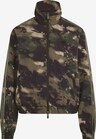 Ausgewählt, ADIDAS ORIGINALS, Jacke Grün